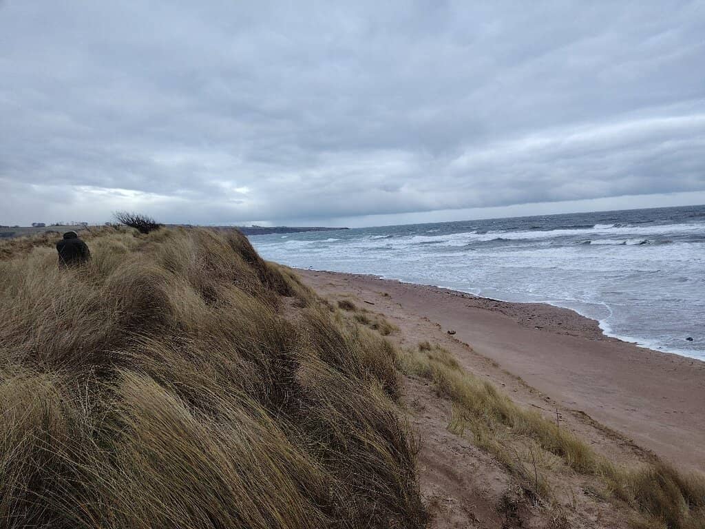 Golden Sands & Calm Waters