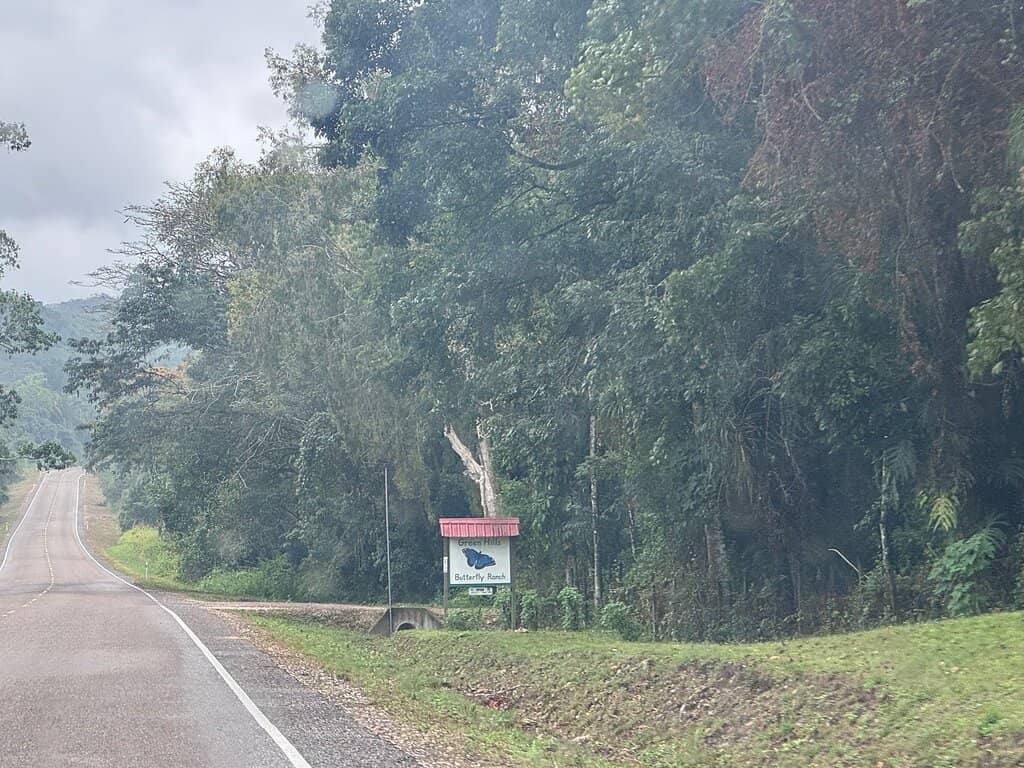 Life Cycle Education