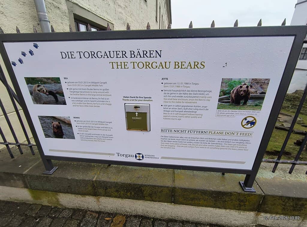 The Resident Bears