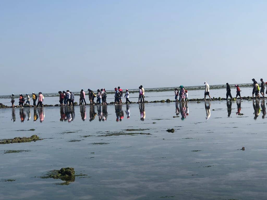 Migratory Bird Watching