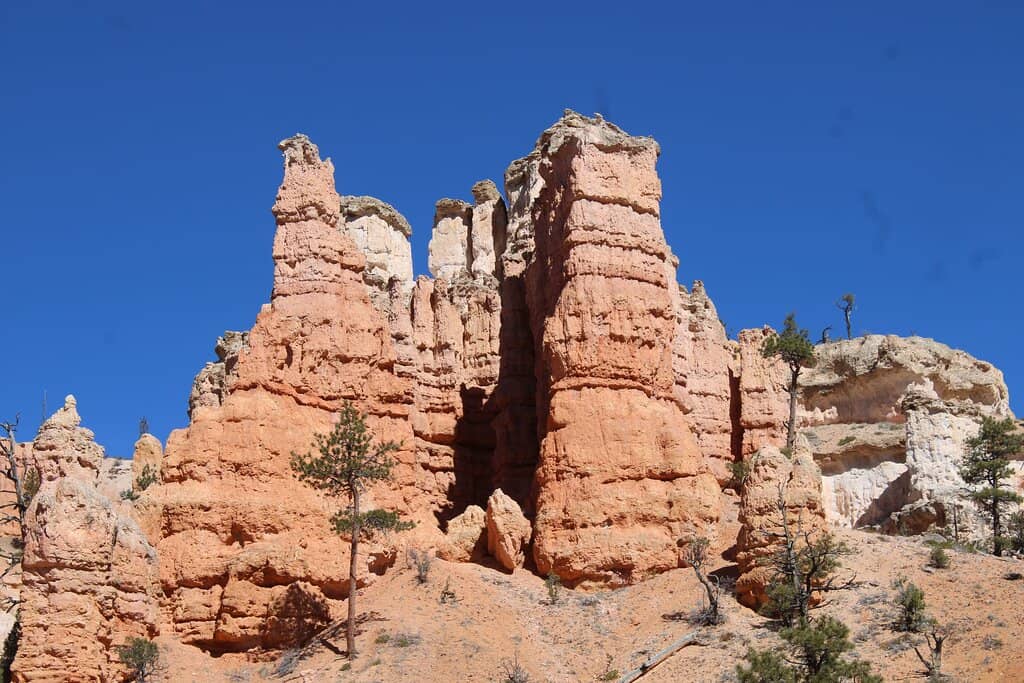 Mossy Cave Waterfall