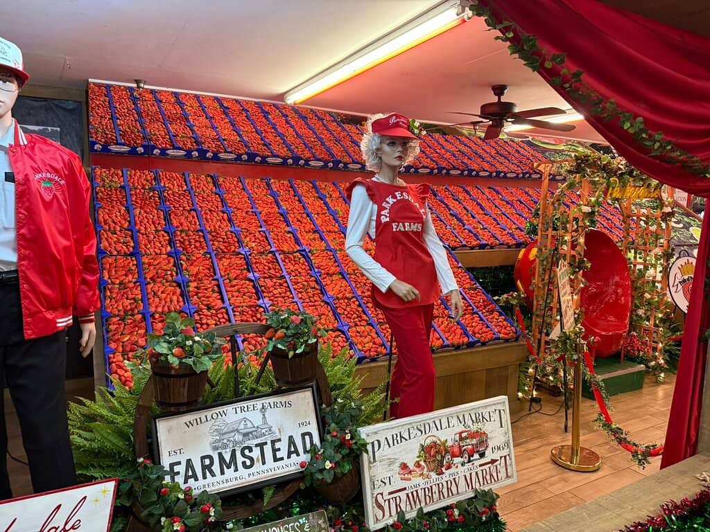 Live Music & Entertainment