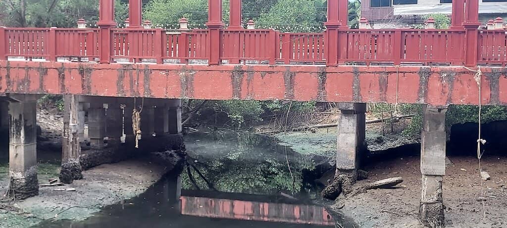 Kids' Club and Activities