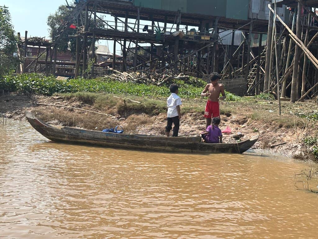 Flooded Mangrove Forest