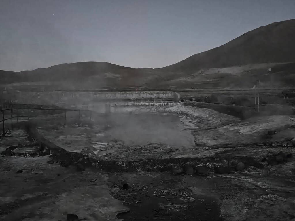 Andean Wildlife Encounters