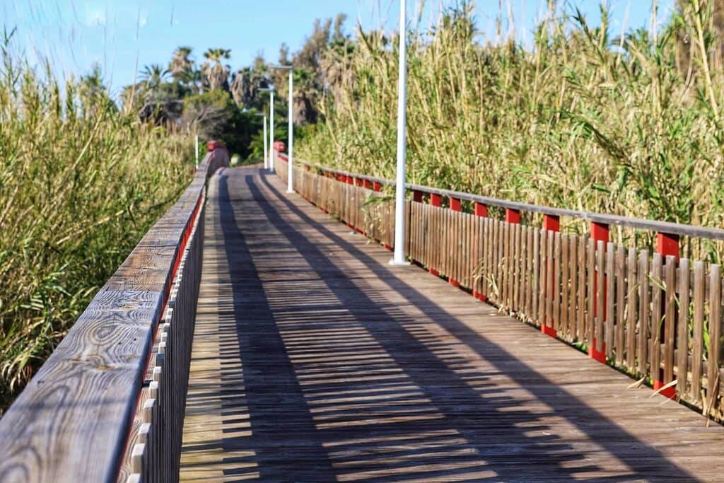 Marathon Route Scenery