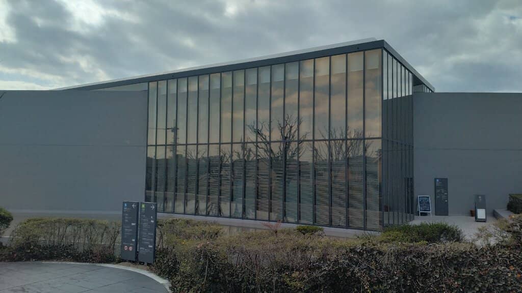 Forest of Words Display