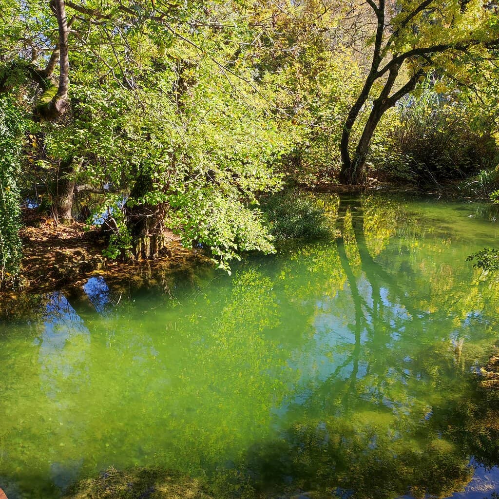 Interactive Biological Museum