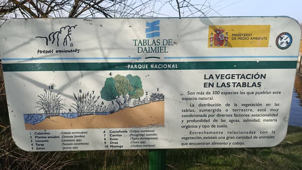 Birdwatching Hotspot