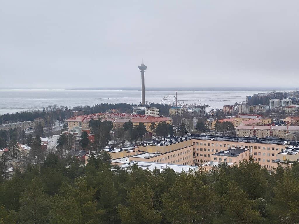 Famous Pyynikki Donuts