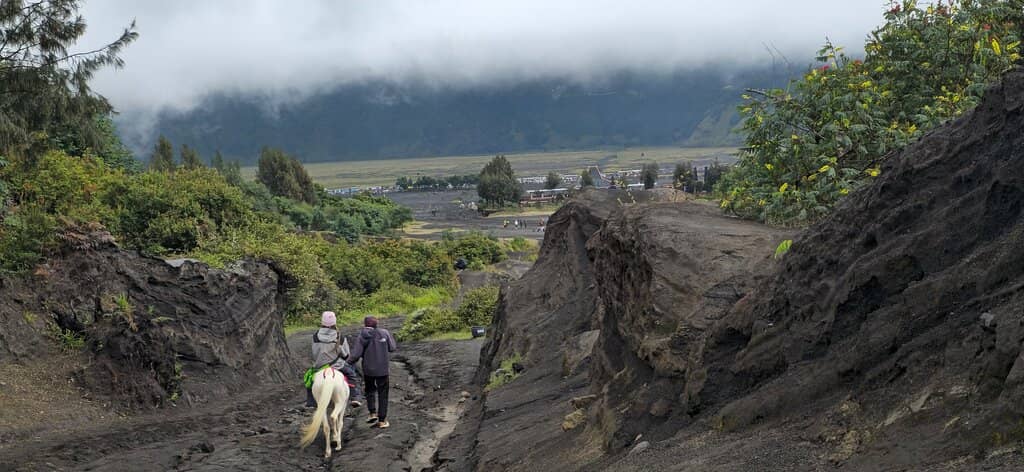 The Crater of Mount Bromo