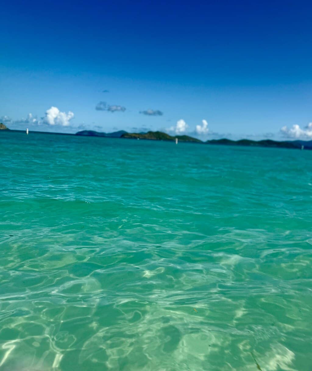 Abundant Sea Turtle Sightings