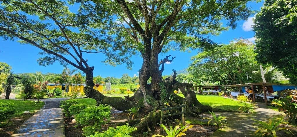 Scenic Riverside Setting