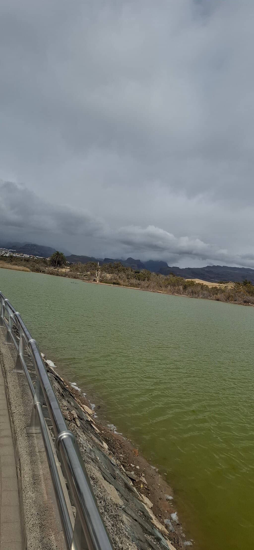 Migratory Bird Haven