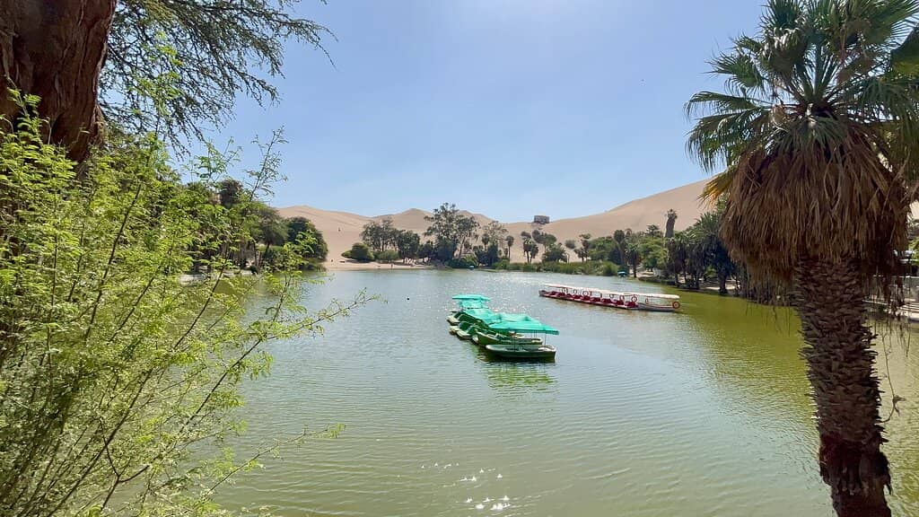 Dune Buggy & Sandboarding Adventure