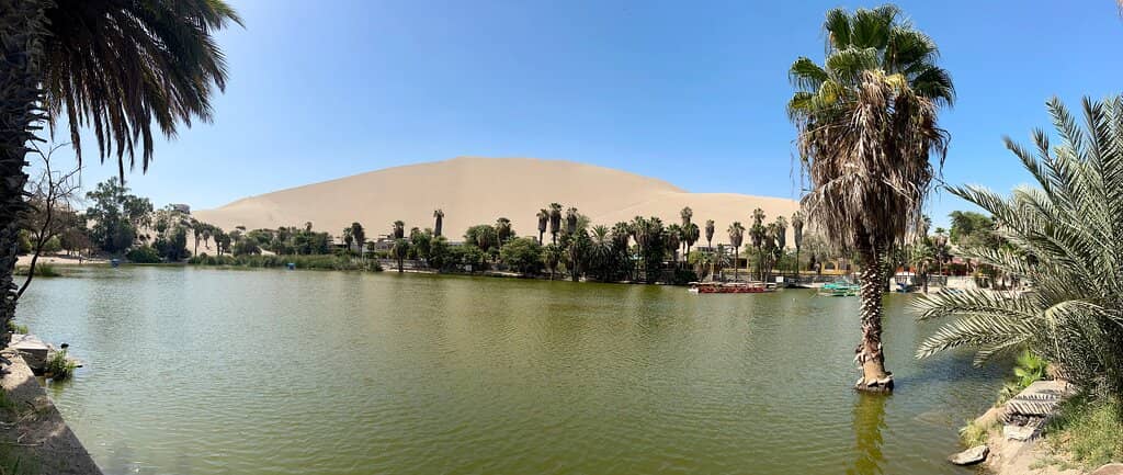 Sunset Over the Dunes