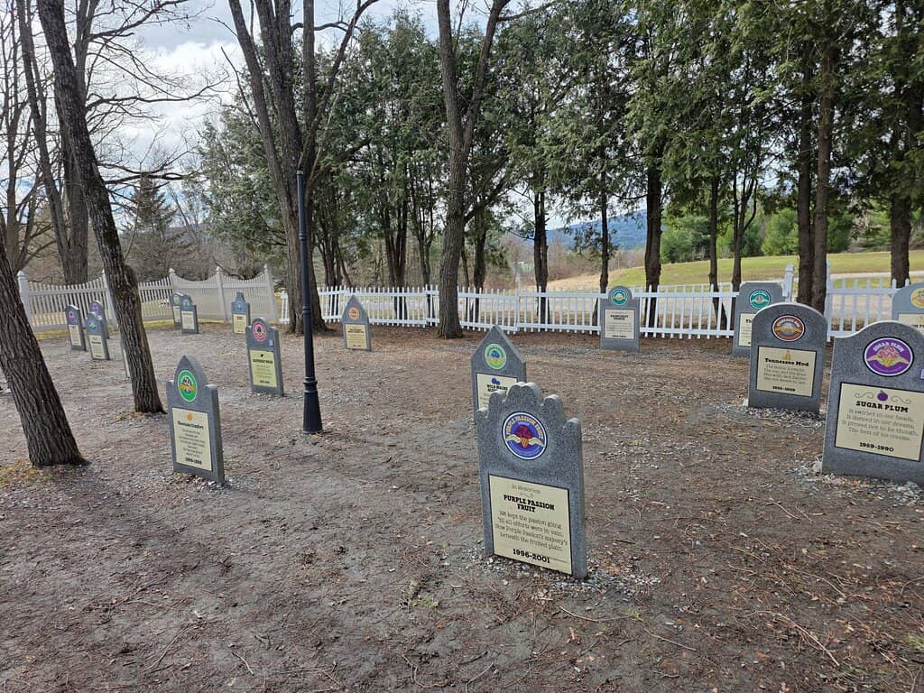 Ice Cream Scoop Shop