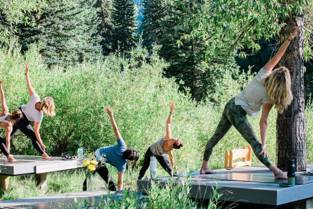 Wild Yoga Sessions