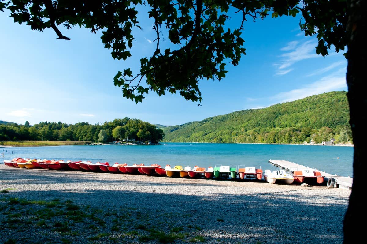 Canoe & Paddle Adventures