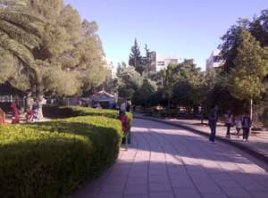 Peaceful Strolls