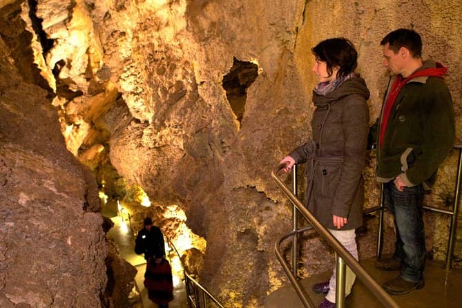 Guided Educational Tours