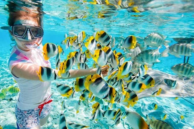 Snorkeling Adventures