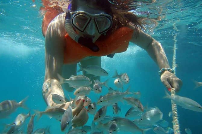 Snorkeling Adventures