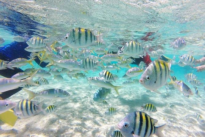 Underwater Aquarium