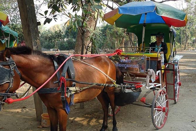 Horse-Drawn Carriage Tour