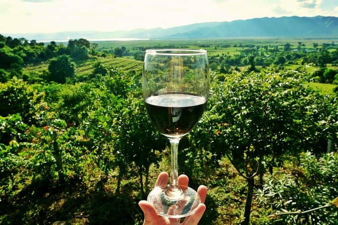 Wineries and Vineyards