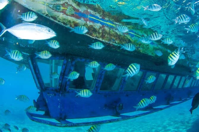 Glass-Bottom Boat Tour