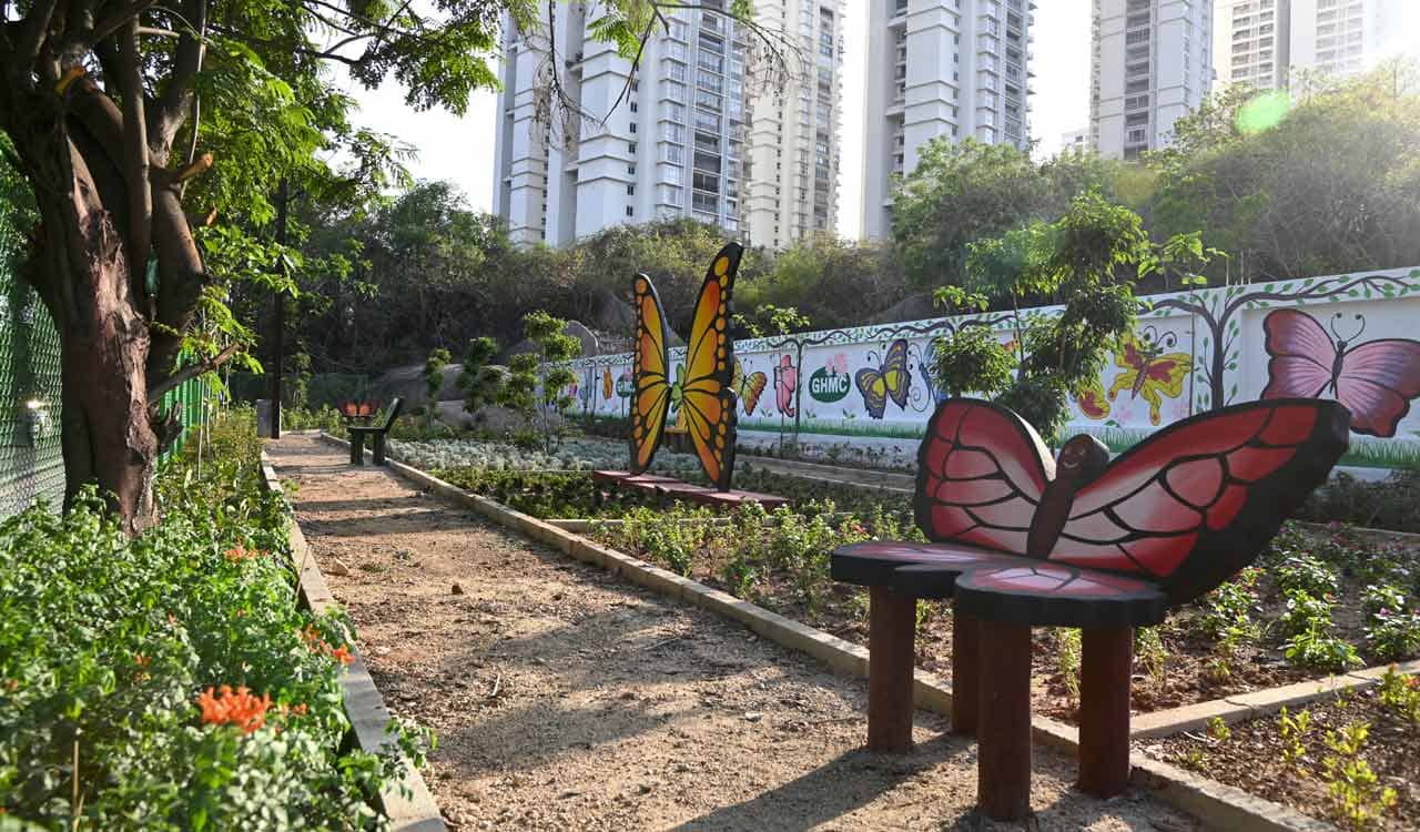Butterfly Park