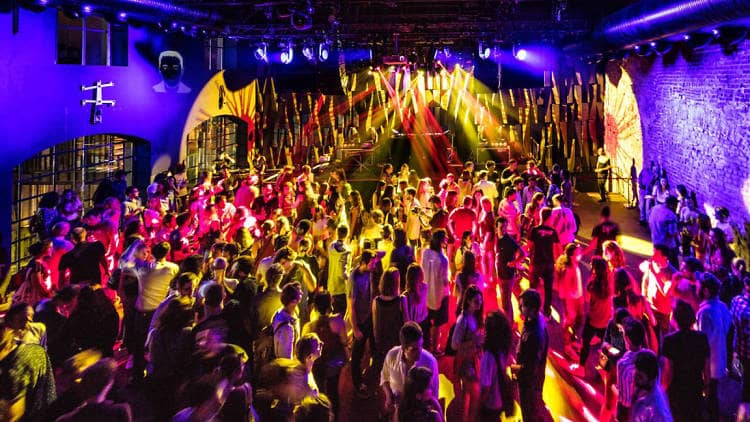 Live Music & Performances