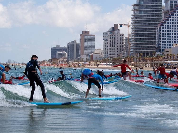 Surfing Lessons
