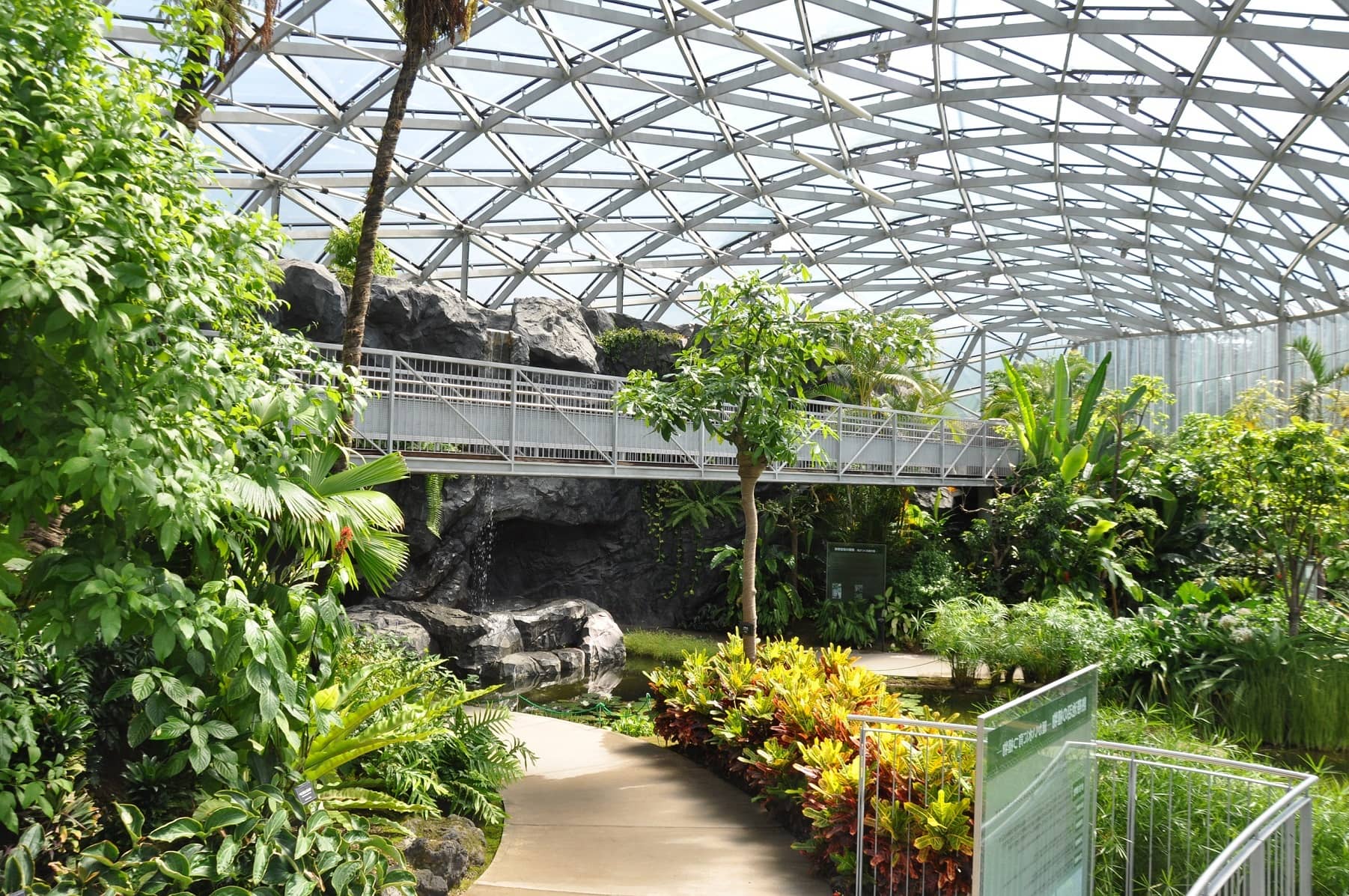 Expansive Greenhouse