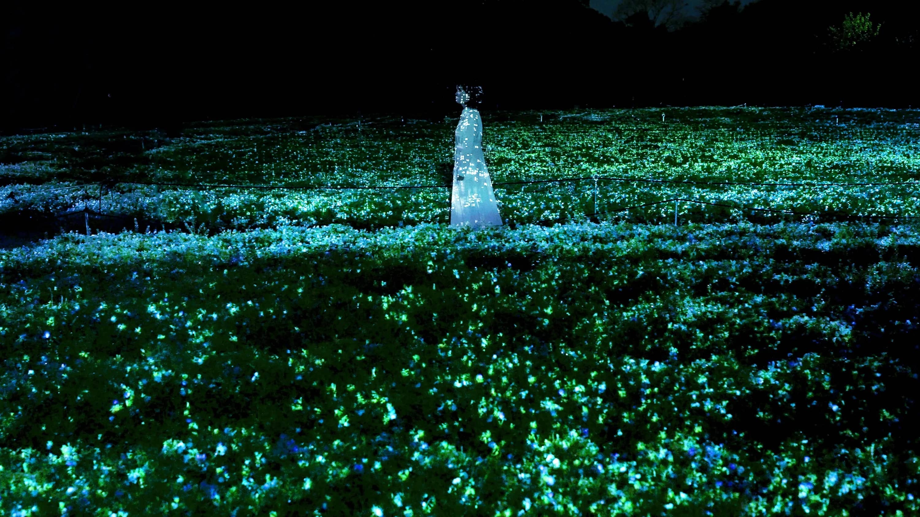 Floating Flower Garden