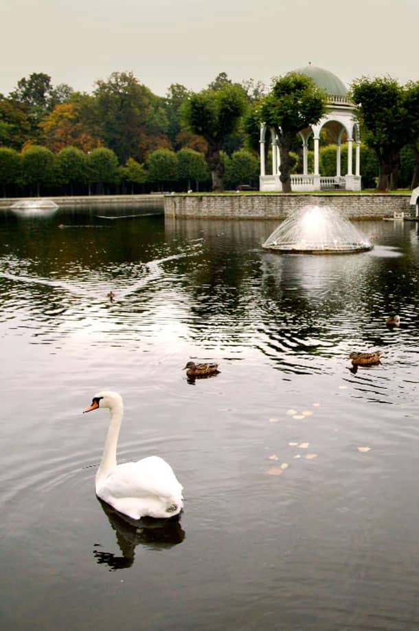 Swan Pond