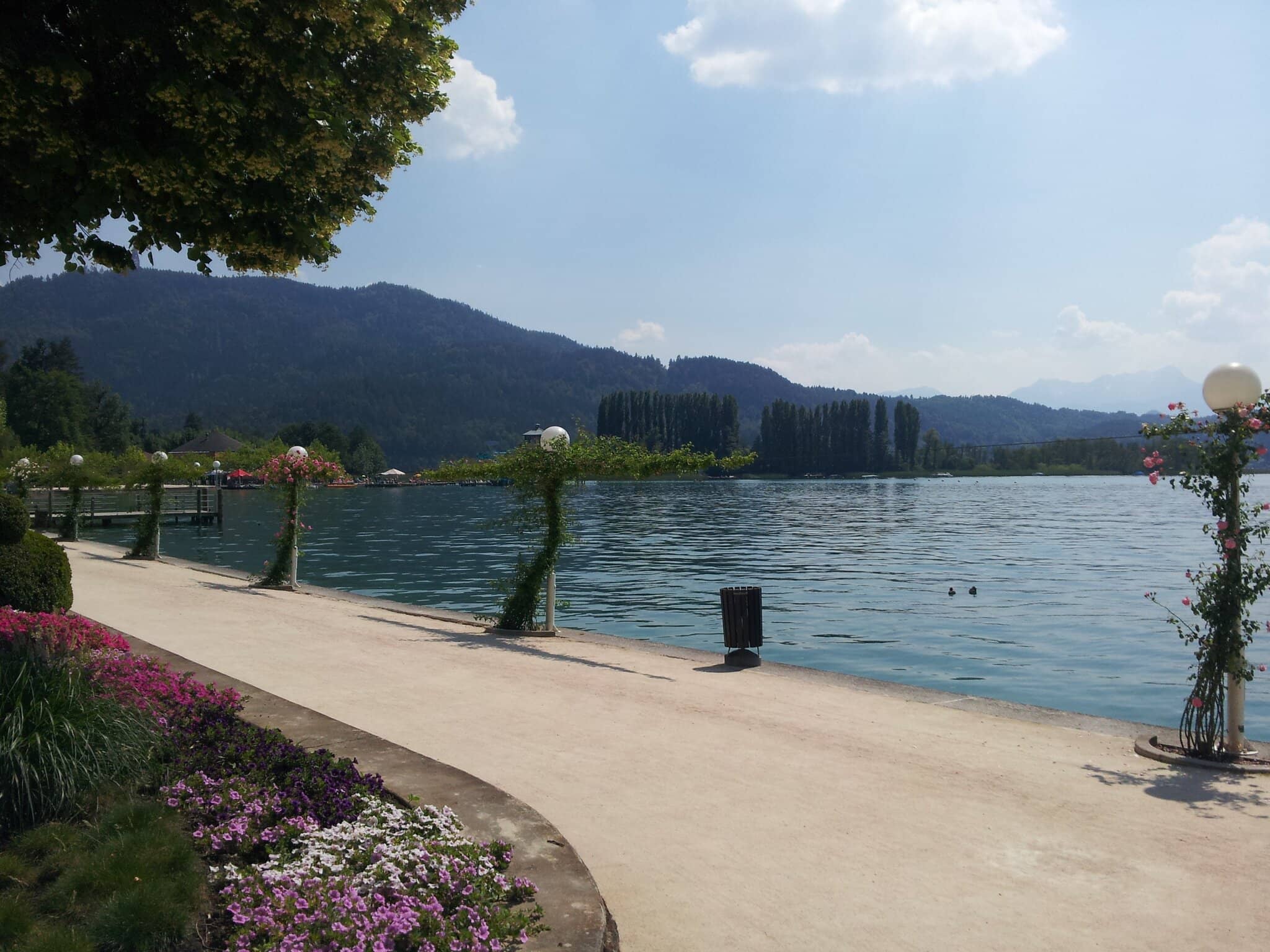 Lakeside Stroll