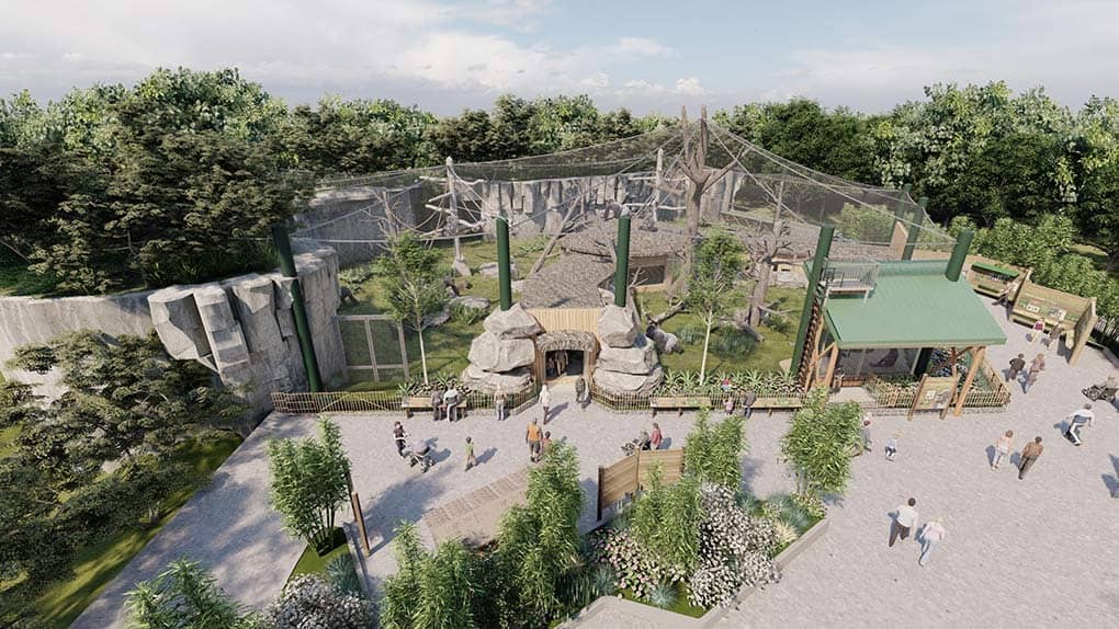 Gorilla Grove