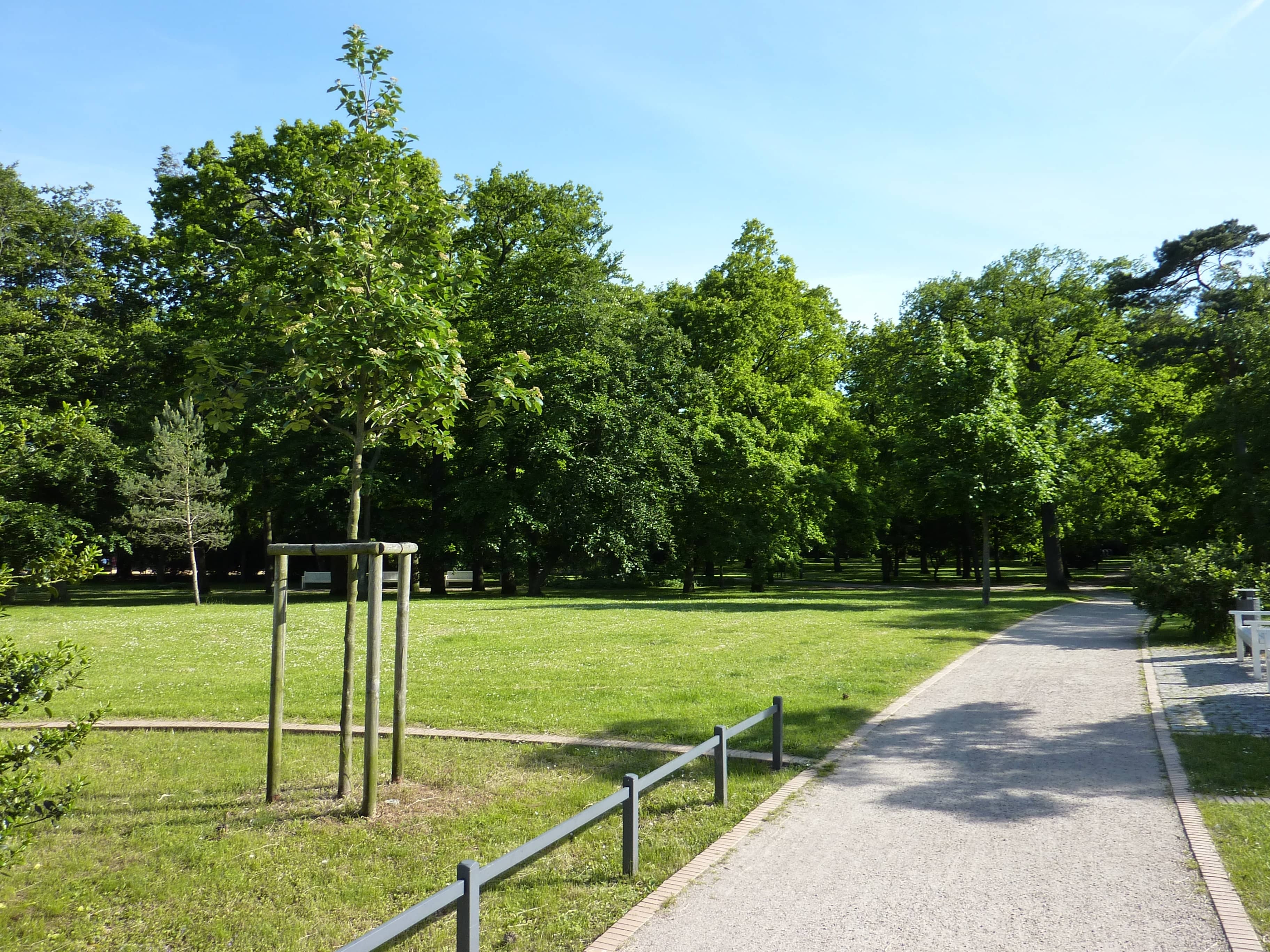 Playground & Sports Area