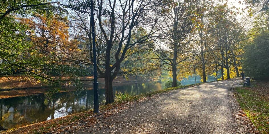 Peaceful Park Strolls