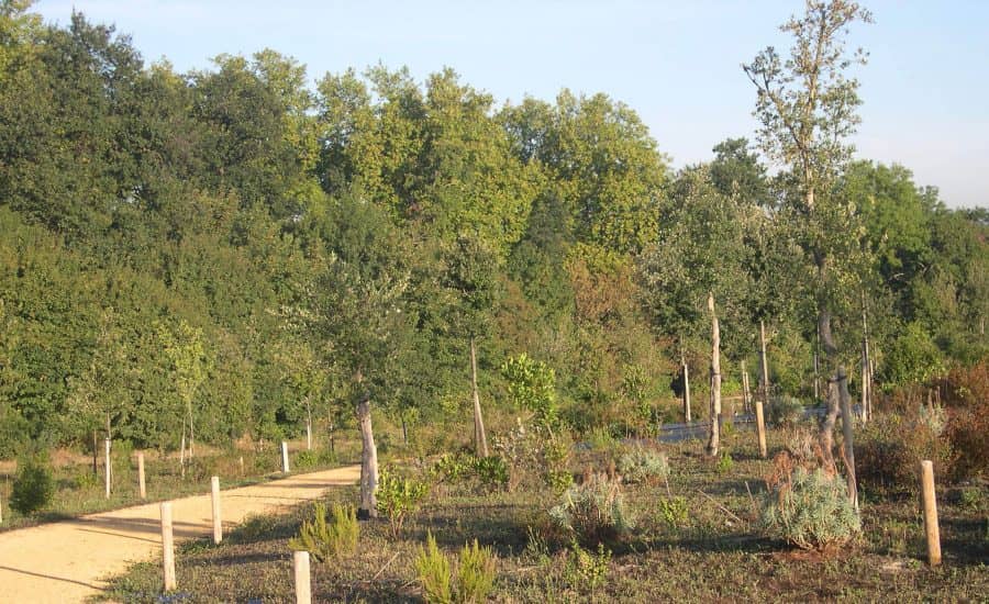 Olarizu Botanical Garden