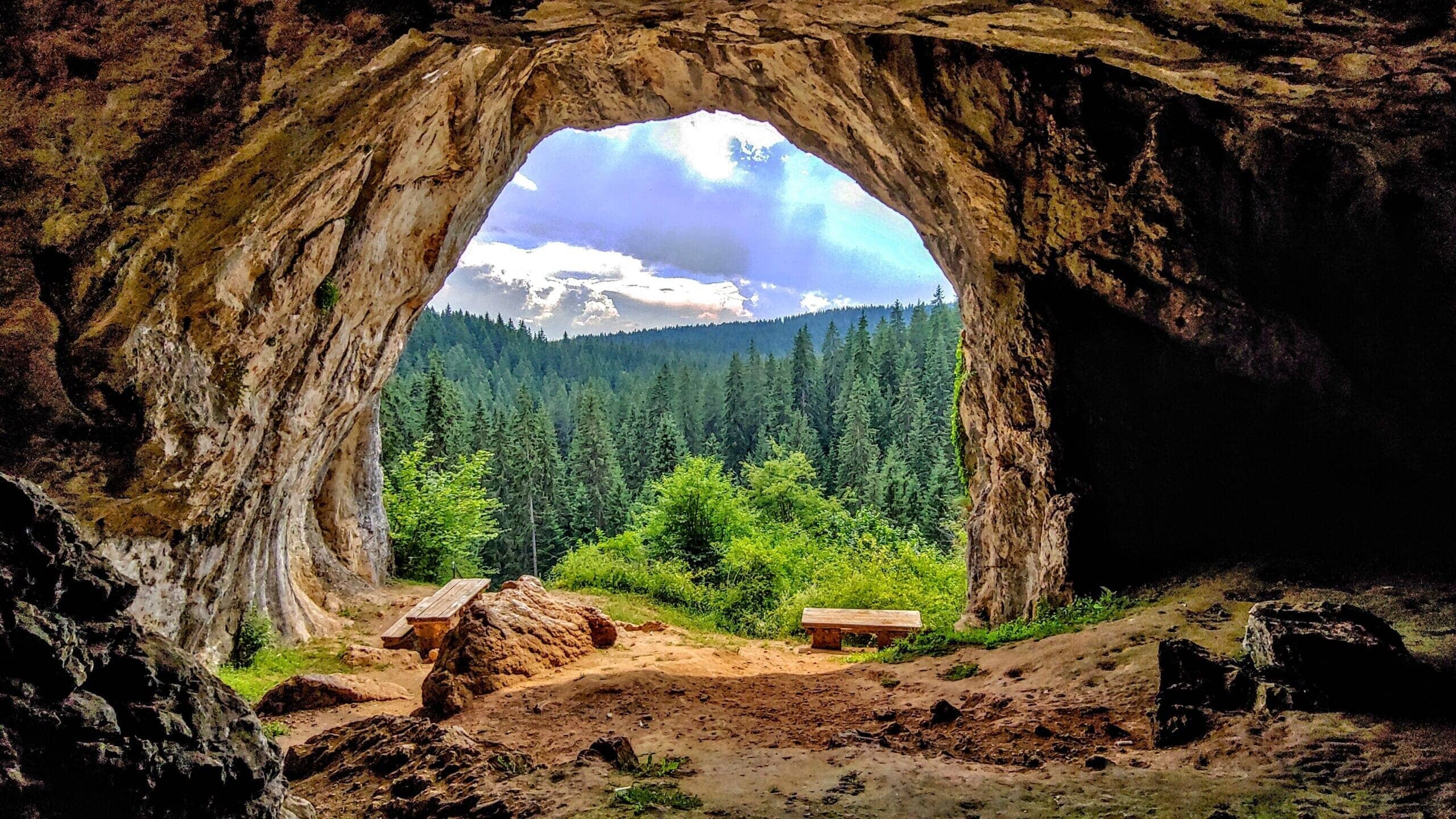 Forest Walk to the Caves