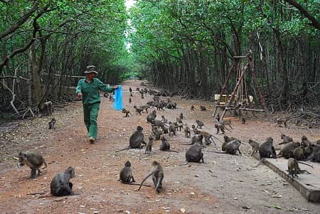 Monkey Island Encounters