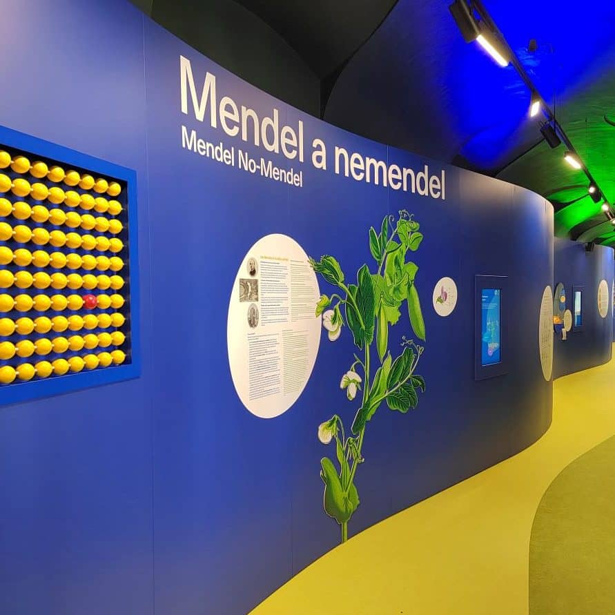 Interactive Genetics Lab
