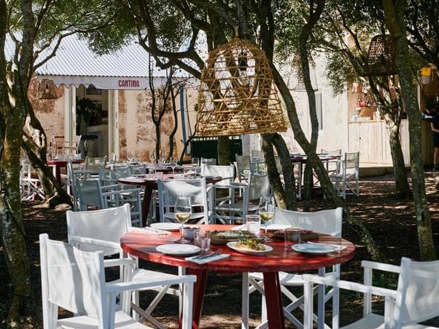 Cantina Restaurant