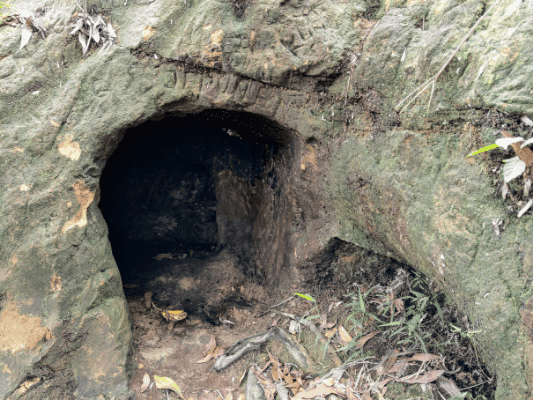 Japanese Cave