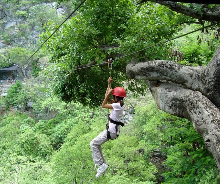 Zip Line & Suspension Bridge