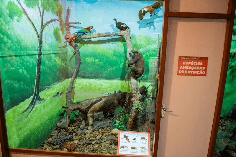 Natural History Museum
