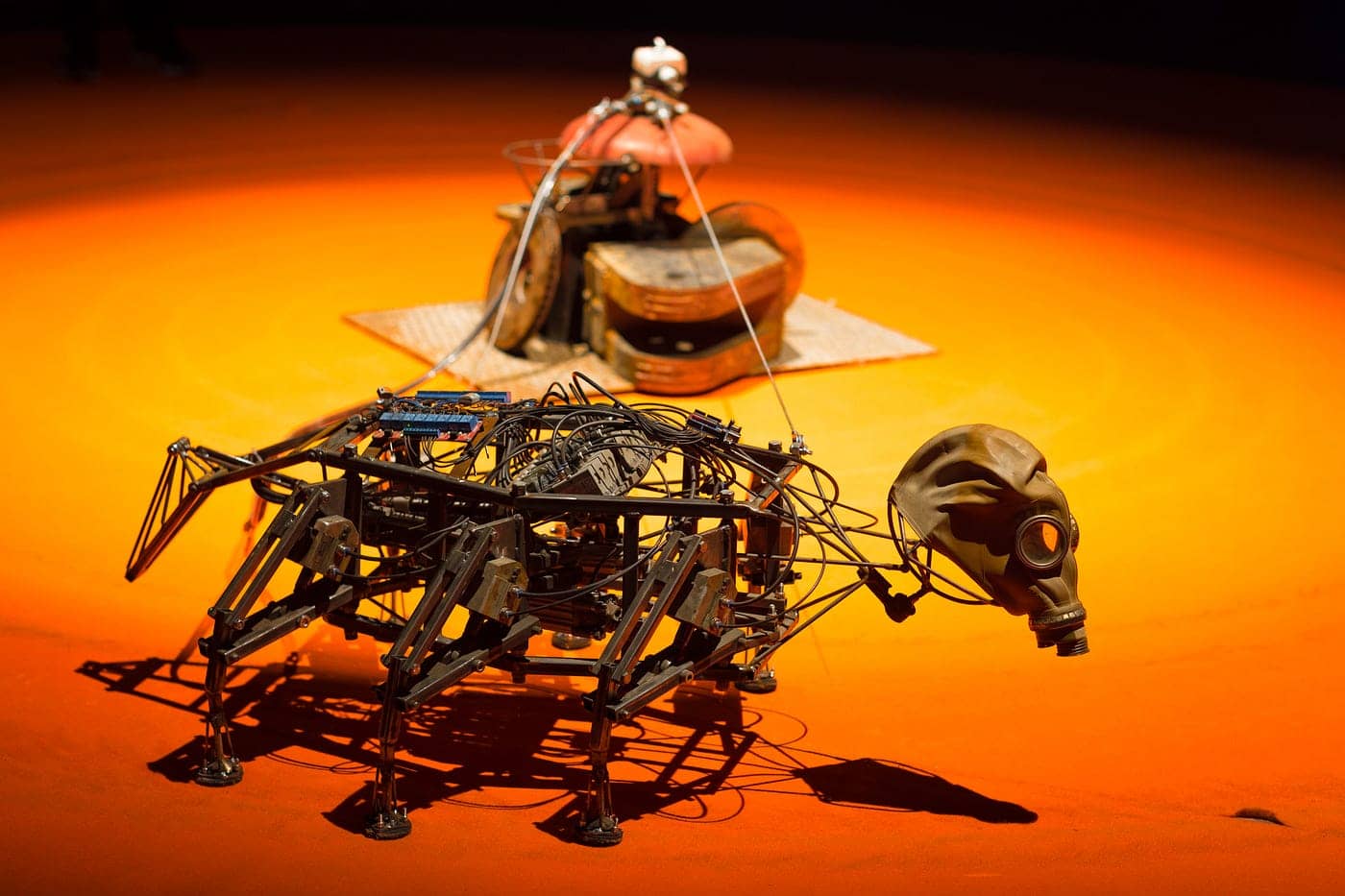 Interactive STEM Experiences